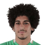 H. El Sayed